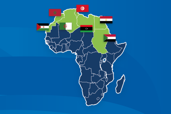 African continent with north african nations highlighted including flags|Chinesische FDI Afrika|Kuchendiagramm über Afrikas Kaufkraft