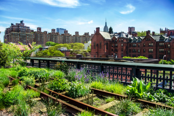 The High Line Park in New York City|Milan vertical forest||Microgreens