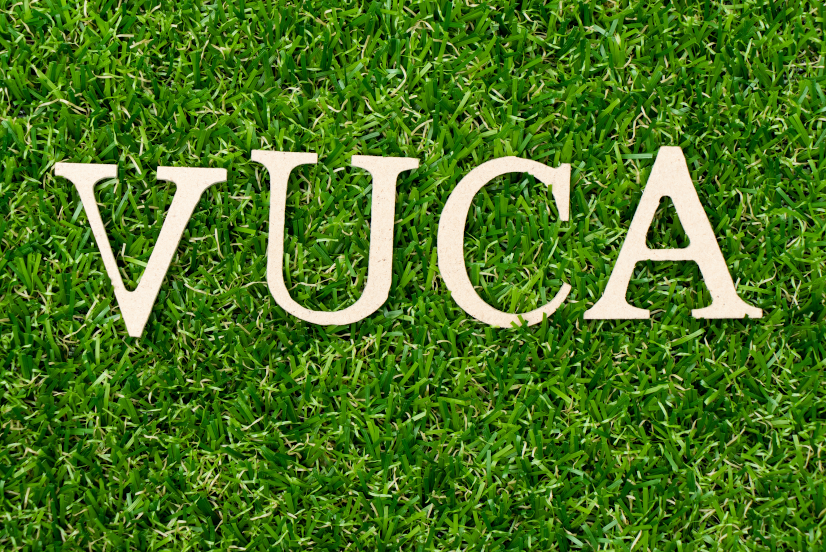 VUCA is an acronym standing for volatility