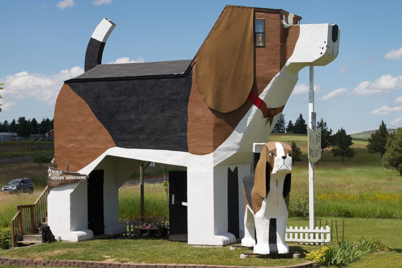 A dog-shaped home: Dog Bark Park