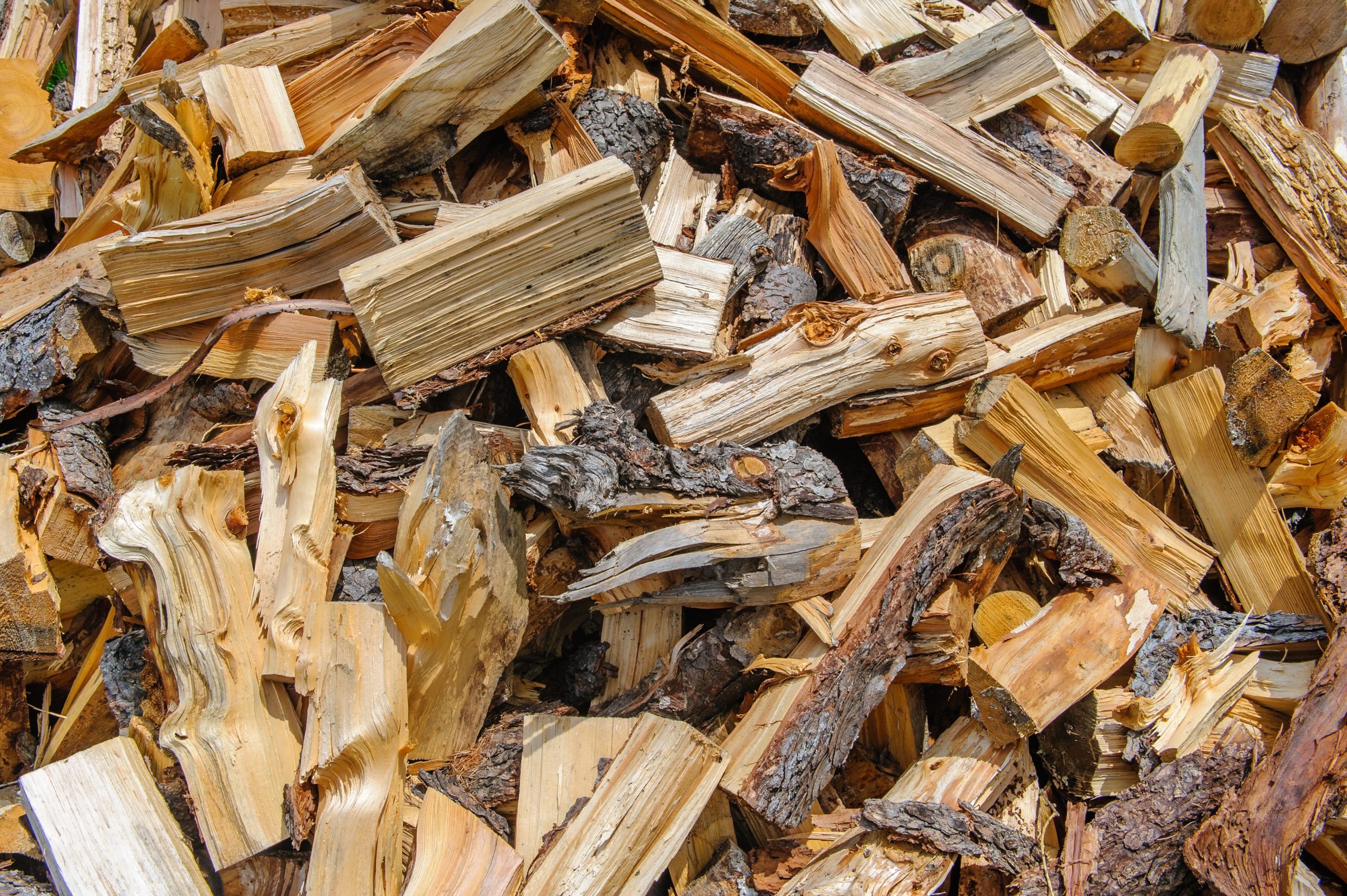 bois matériau biosourcé