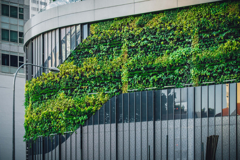A glass office building with a strip of plants built into the exterior wall.