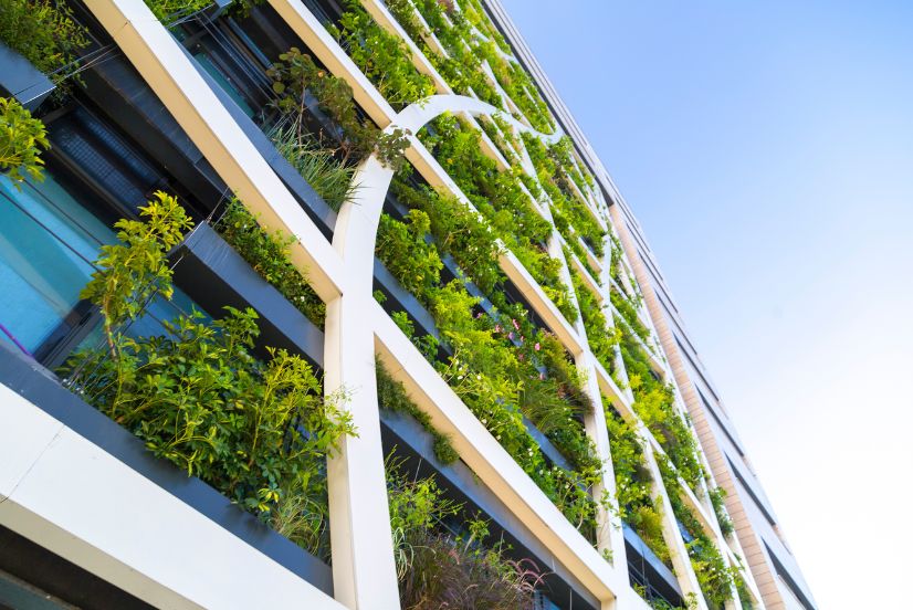 image of a sustainable green building