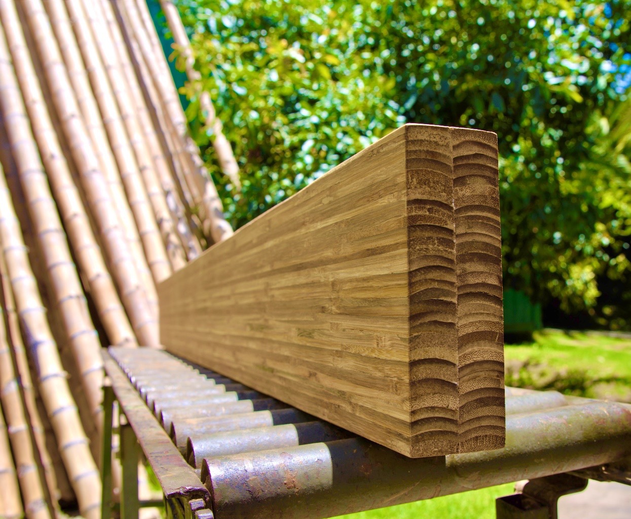 бамбук - новый тренд в строительных материалах